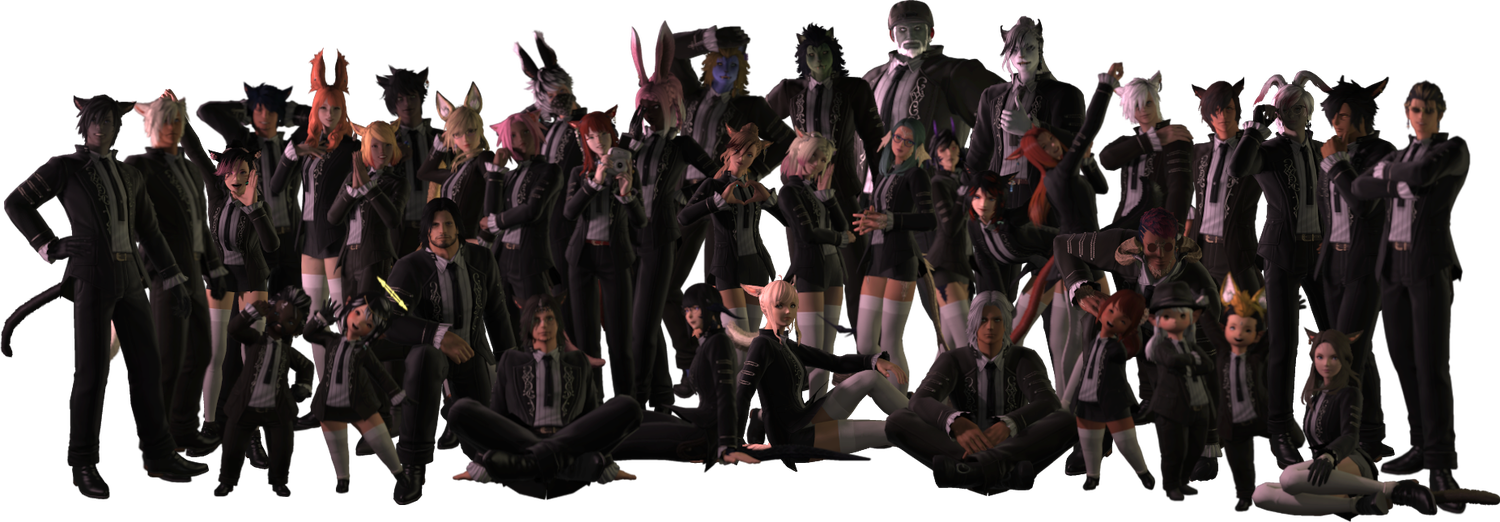 Banner image